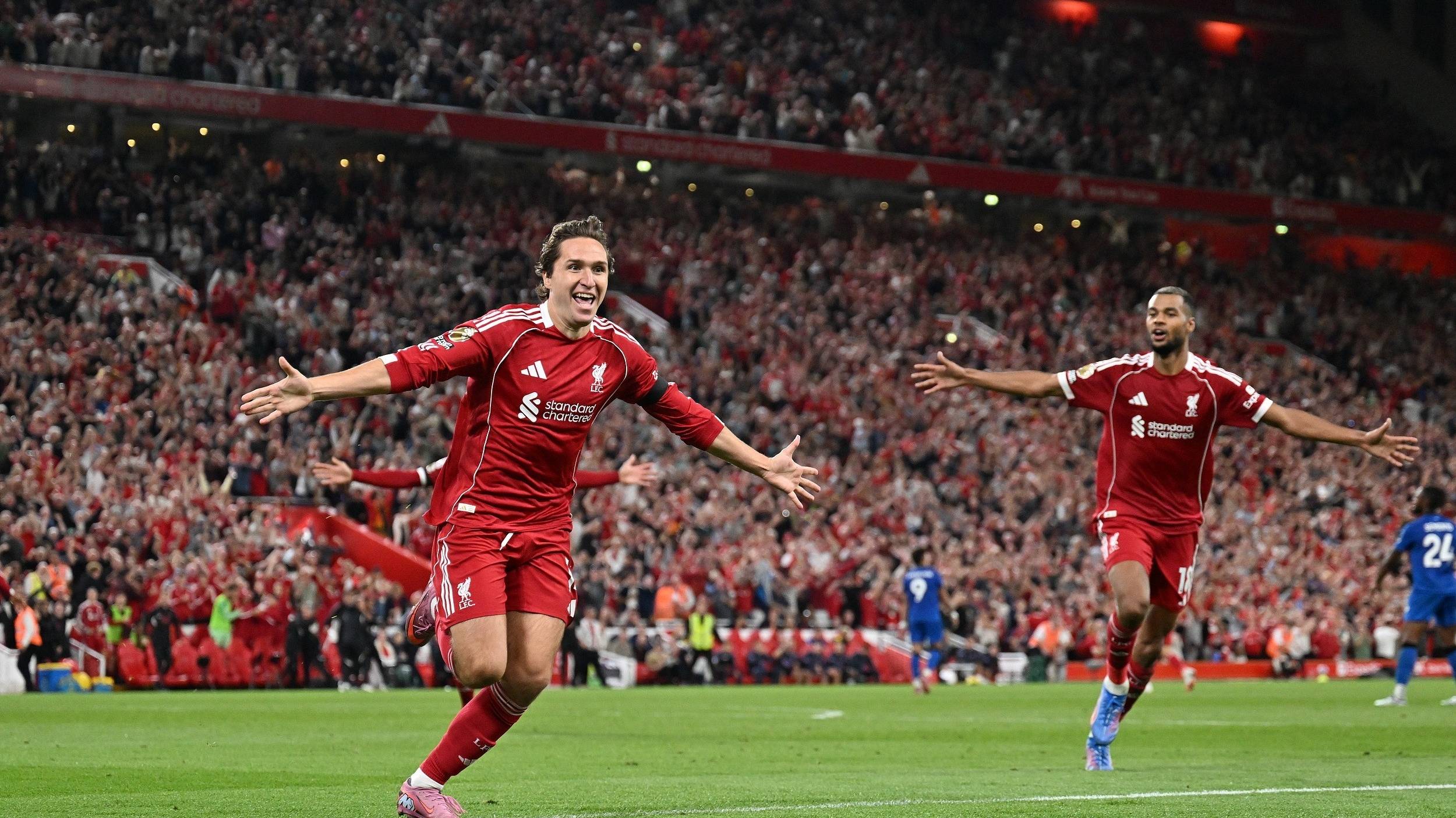 不可或缺的 不可或缺的