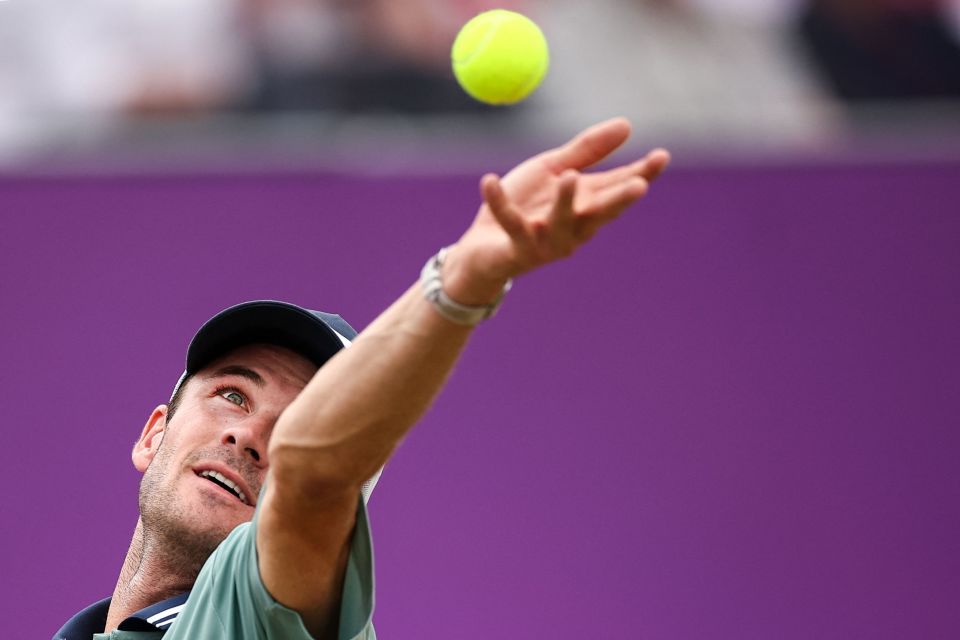 部树立了榜 部树立了榜